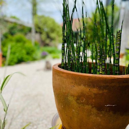 La Poterie Bed & Breakfast Carresse Ngoại thất bức ảnh