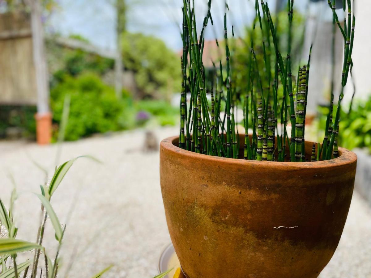 La Poterie Bed & Breakfast Carresse Ngoại thất bức ảnh